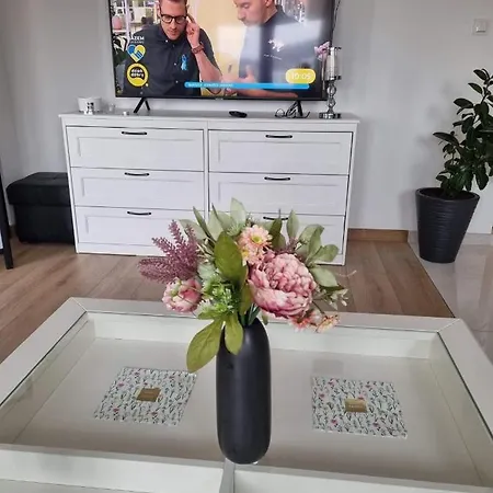 Apartament Z Widokiem Na Motlawe Appartement Gdańsk