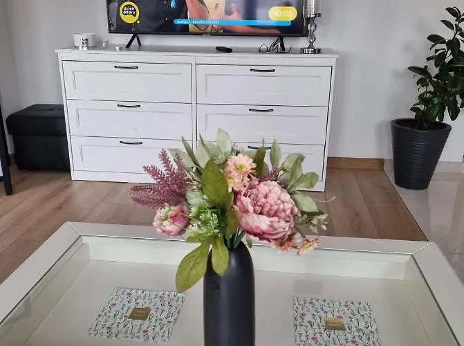 Apartament Z Widokiem Na Motławę Apartament Gdańsk
